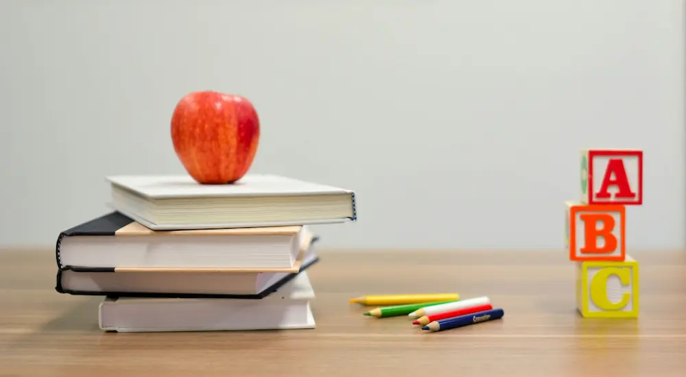 Back to the Basics: The Power of Procedural Fluency in Mathematics main image